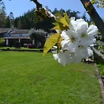 Quintal De Alem Do Ribeiro-turismo Rural Lousã