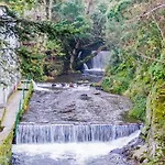 Quintal De Alem Do Ribeiro-turismo Rural 4*