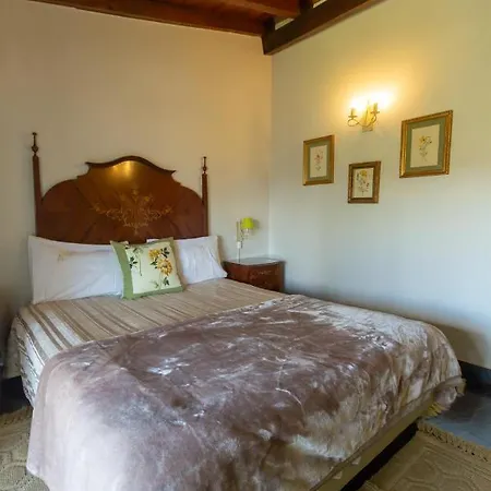 Konukevi Quintal De Alem Do Ribeiro-turismo Rural 4*