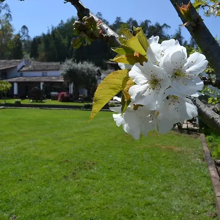 Quintal De Alem Do Ribeiro-turismo Rural Lousã