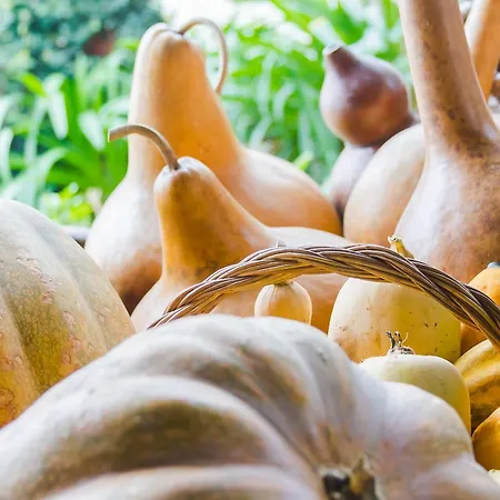 招待所 金塔尔德阿莱姆杜里贝罗-特里士姆乡村酒店