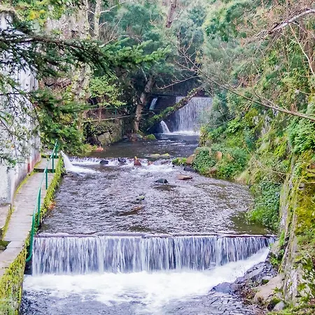 Quintal De Alem Do Ribeiro-turismo Rural 4*