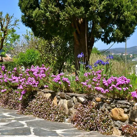 Quintal De Alem Do Ribeiro-turismo Rural Lousã