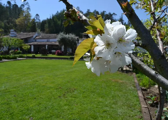 Quintal De Alem Do Ribeiro-turismo Rural Lousã