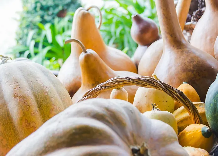 Casa de hóspedes Quintal De Alem Do Ribeiro-turismo Rural