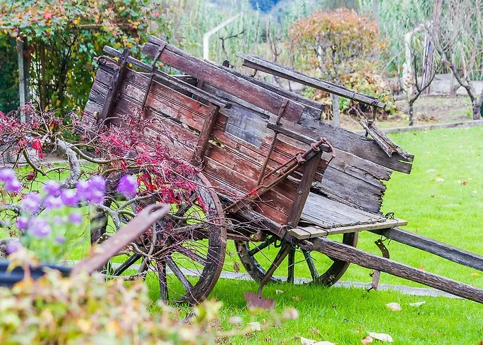 بيت ضيافة Quintal De Alem Do Ribeiro-turismo Rural