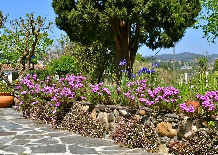 Quintal De Alem Do Ribeiro-turismo Rural Lousã