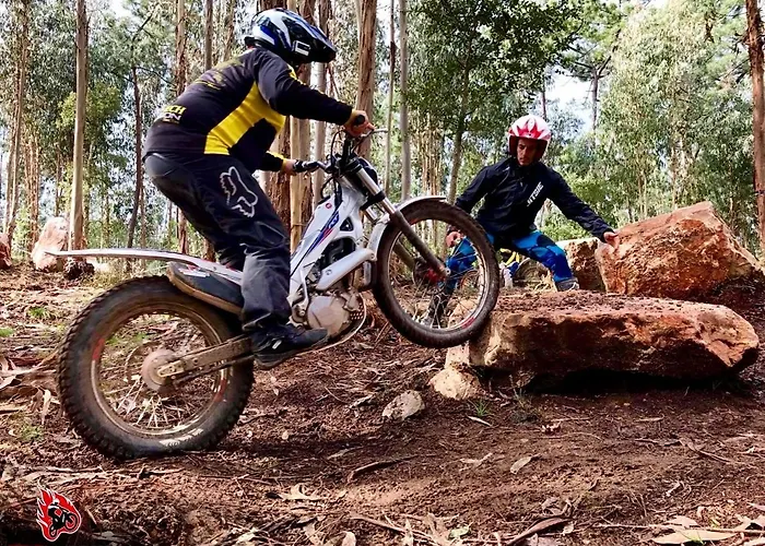 Quintal De Alem Do Ribeiro-turismo Rural 4* Lousã