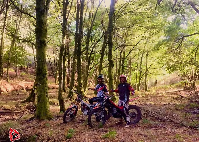 Quintal De Alem Do Ribeiro-turismo Rural Casa de hóspedes