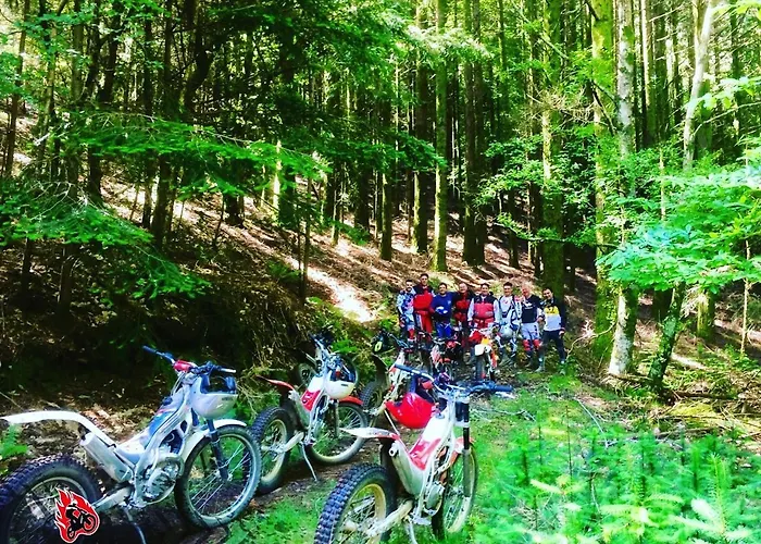 Quintal De Alem Do Ribeiro-turismo Rural Casa de hóspedes 4*